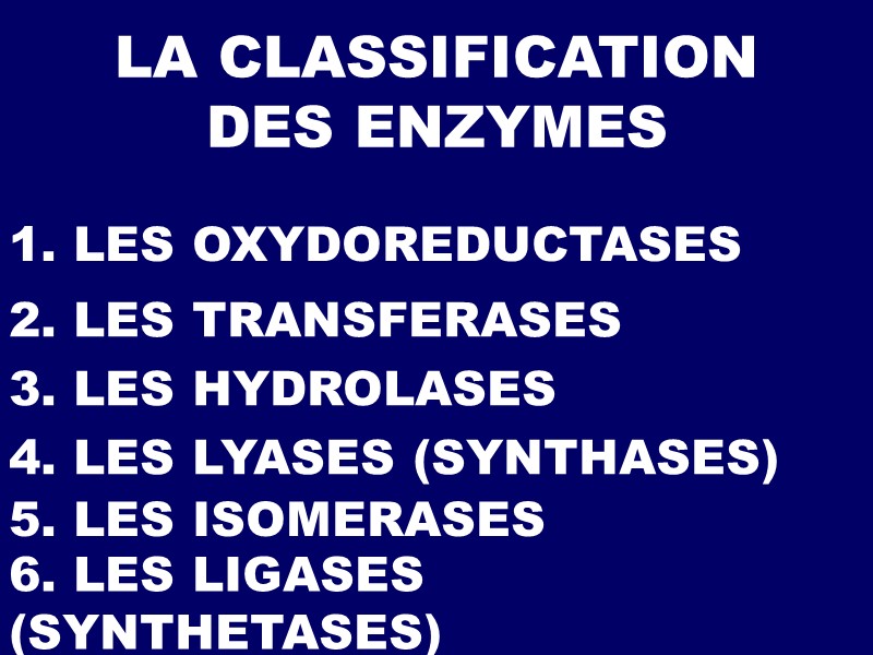 LA CLASSIFICATION DES ENZYMES 1. LES OXYDOREDUCTASES 2. LES TRANSFERASES 3. LES HYDROLASES 4.